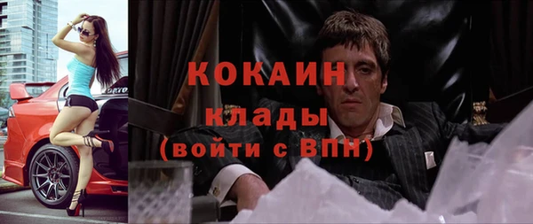 крисы Белокуриха