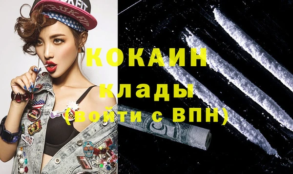 крисы Белокуриха