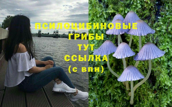 крисы Белокуриха