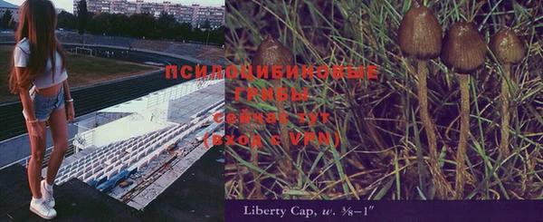 не бодяженный Сосновый Бор