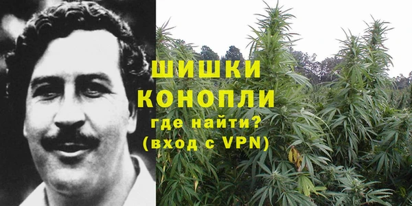 крисы Белокуриха