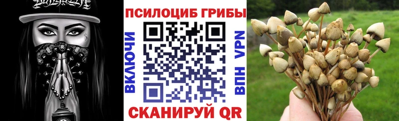 магазин наркотиков Курильск Псилоцибиновые грибы мухоморы